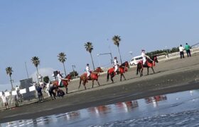 22AF1A52-47B4-45C6-8A8D-E2B1657F0198