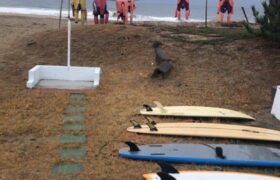 51D83B8A-4277-4857-98AA-46743A7814AF