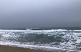 53CADEE7-B0FC-40A1-A454-20A7EBF0DF96