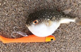 54E93C93-0CB5-438D-9B76-5546E0F78B59