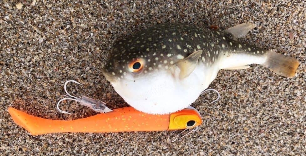 54E93C93-0CB5-438D-9B76-5546E0F78B59