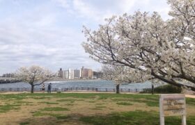 752B1198-0F20-447B-86FC-77A38E17FA55