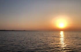 84D66B88-34EE-47D4-A5E6-A95173D1120A