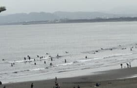 86167CD1-1C89-44E1-A88B-0F0DFF4C81F2