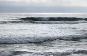 8AA59F8C-C57D-4B5F-8F94-3E23B58EDBE5