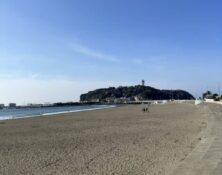 92280EBA-9F15-4CA1-85A4-A183B0DD7721