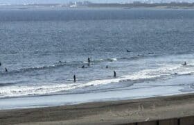 99CA56EA-5591-40AB-A967-47F140FB1CC8