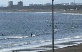 A4260A5A-659C-4345-B95D-A761DF65D6C6