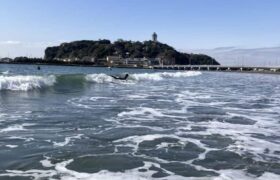 BF93CC94-7506-4C0D-A4AB-8553012DE931