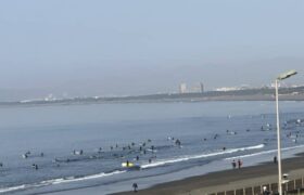 F14FFCFC-BD55-4C25-ABF3-87856DB76320