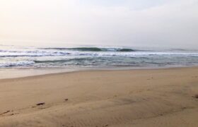 A8813D69-4FD6-4974-A3A7-4C7068DE9C0D