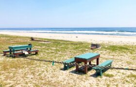 135D878A-9281-4F44-ADA3-7792C4CFA6E1