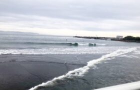 51924245-15F4-4DD7-8EE5-AA42828786B6