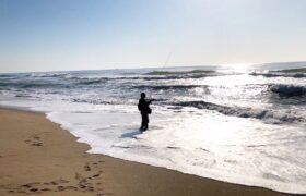 7D84322B-927D-4D96-AC93-28122C33436E