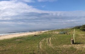 B529457E-89A6-4F68-BA65-5A986BB71500