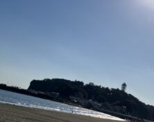 IMG_1240